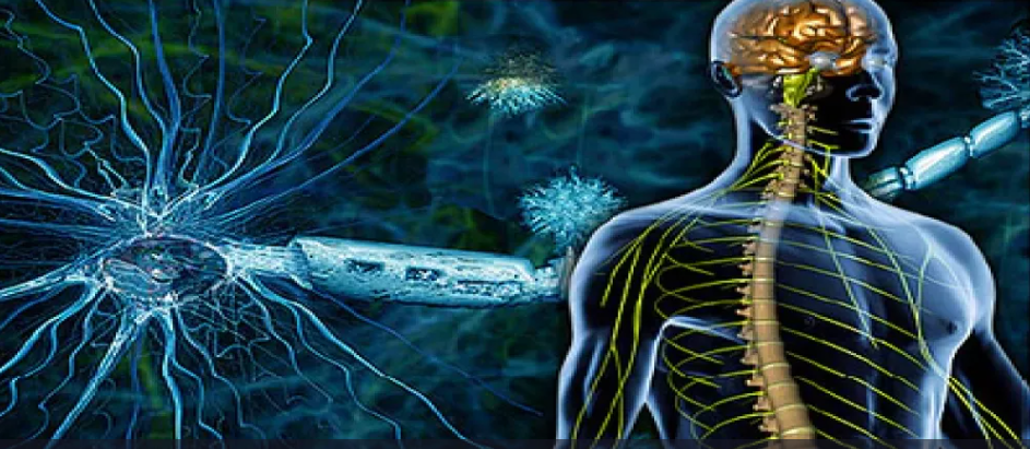 التصلب اللويحي وعلاج الأسنان